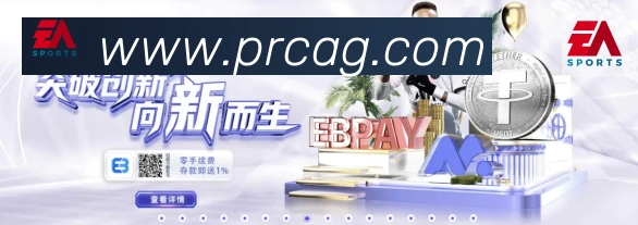 登录器